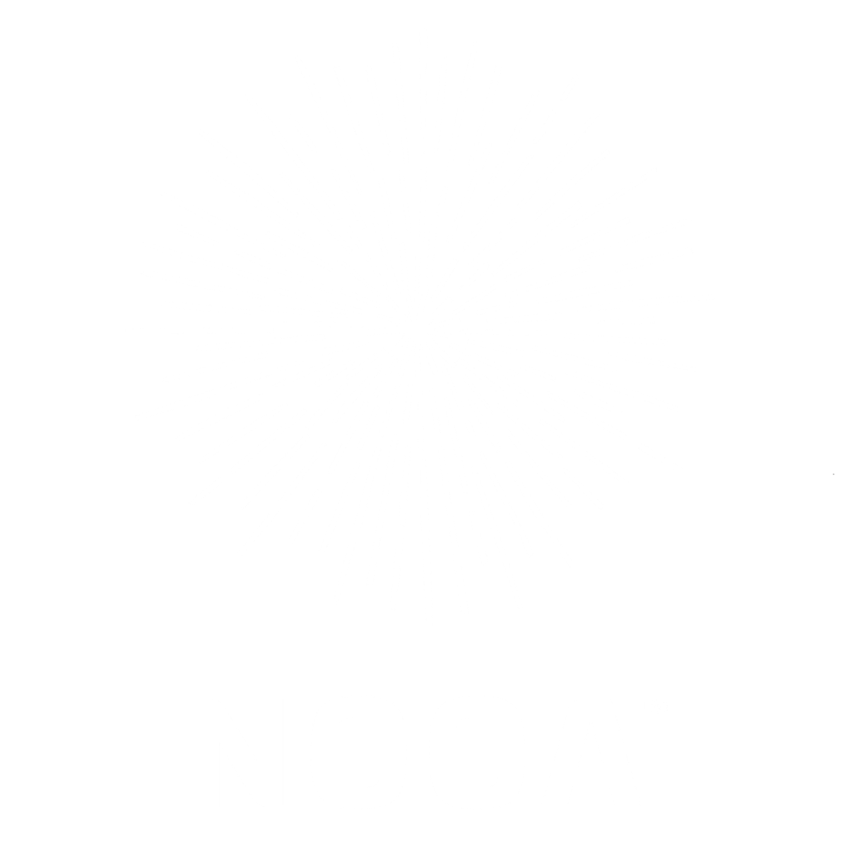 NOOA Riyadh